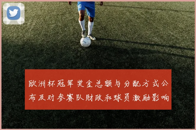 欧洲杯冠军奖金总额与分配方式公布及对参赛队财政和球员激励影响