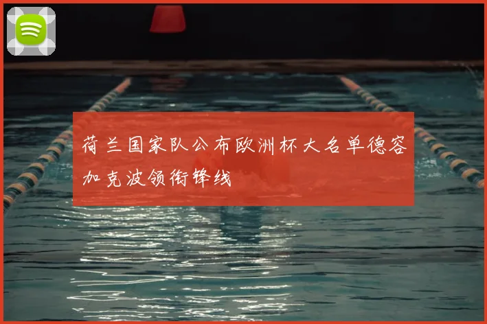 荷兰国家队公布欧洲杯大名单德容加克波领衔锋线
