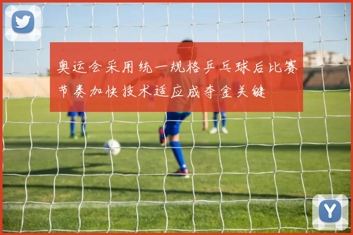 奥运会采用统一规格乒乓球后比赛节奏加快技术适应成夺金关键