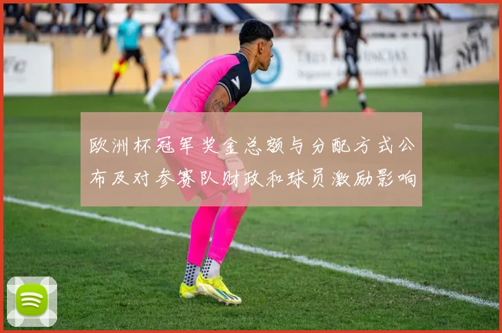 欧洲杯冠军奖金总额与分配方式公布及对参赛队财政和球员激励影响
