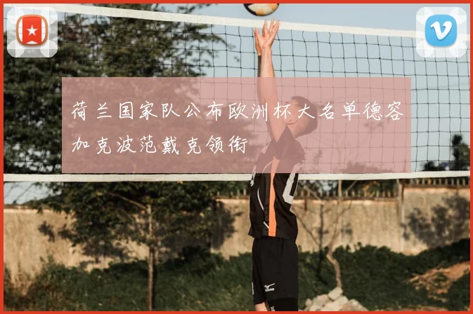 荷兰国家队公布欧洲杯大名单德容加克波范戴克领衔
