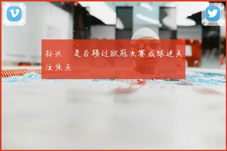 孙兴慜是否踢过欧冠决赛成球迷关注焦点