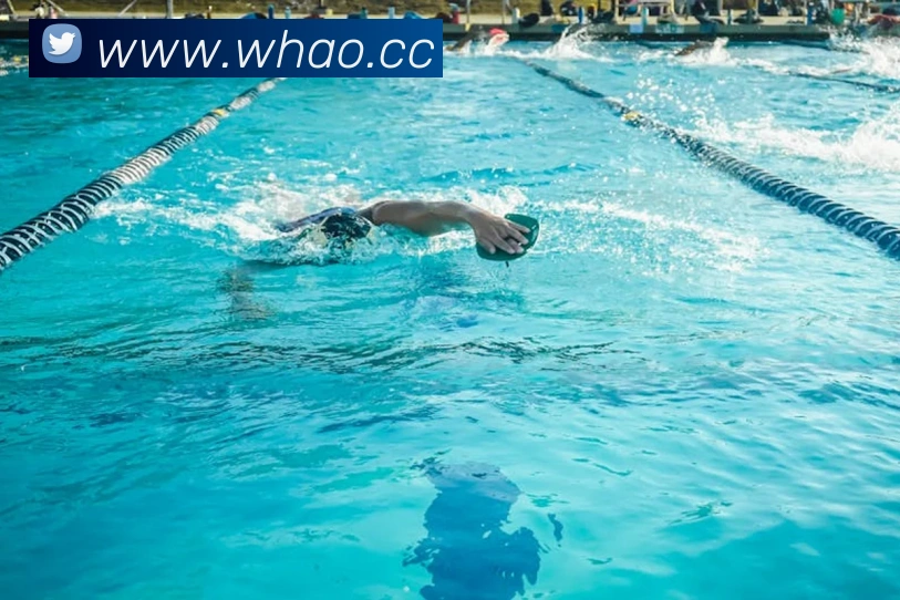 App Interface Preview