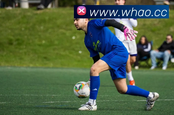 数据防护可视化